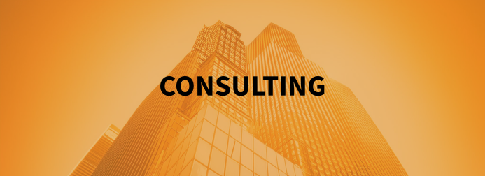 Consulting